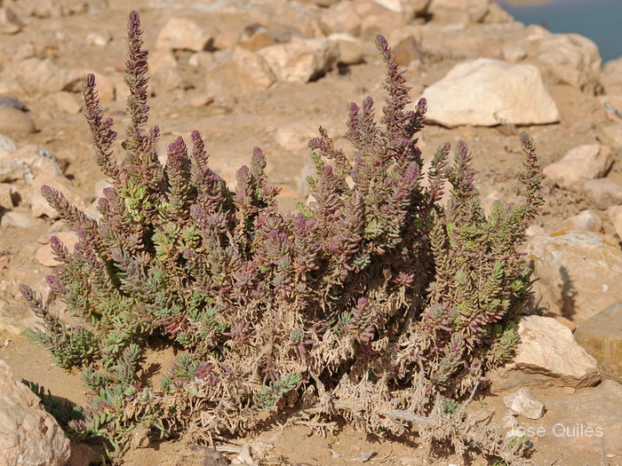 Foum Draa, Marruecos
