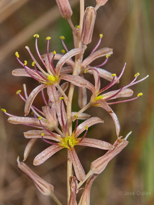 Albufera de Valencia