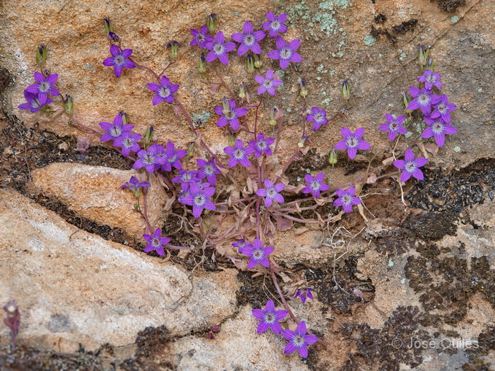 Sierra de Grazalema, CA