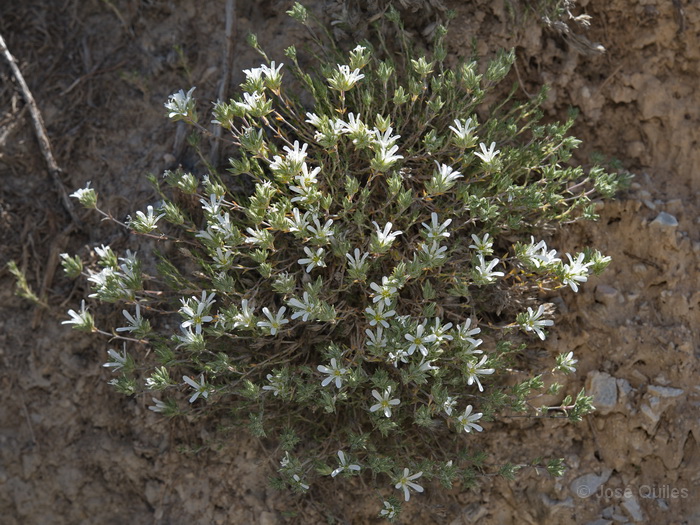 Sierra de Hu�tor, GR