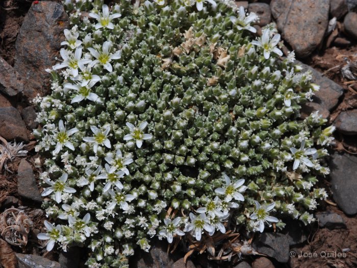 Sierra de G�dor, AL