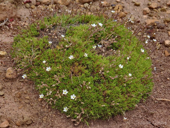 Sierra de Urbi�n, SO