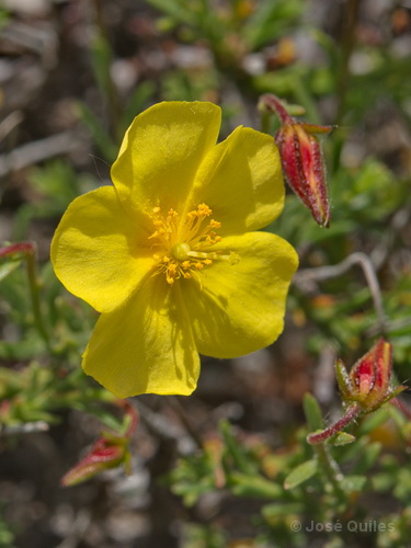 Sierra de Hu�tor, GR