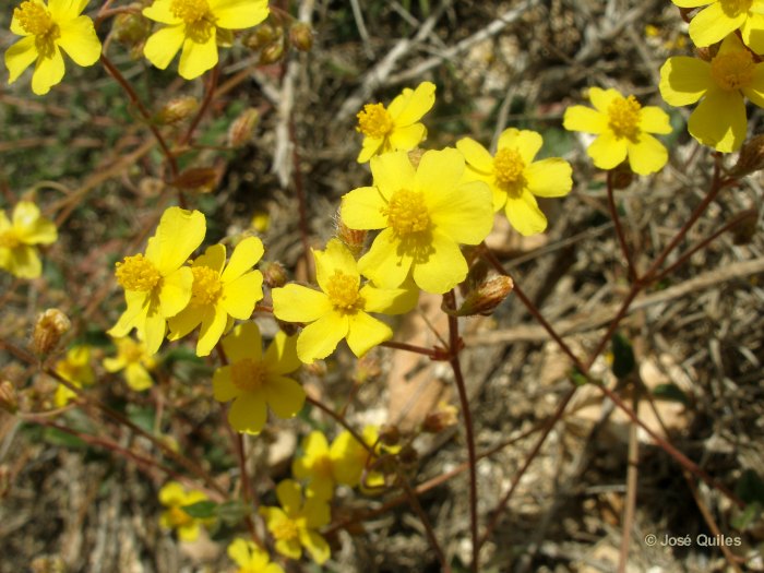 Sierra de Aitana, A