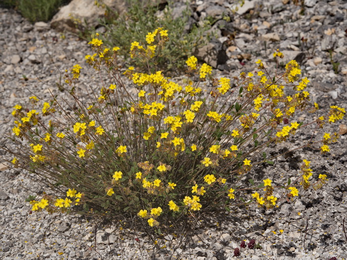 Sierra de Hu�tor, GR