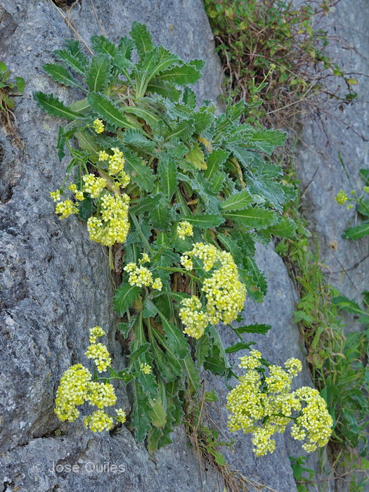Sierras Subb�ticas, CO