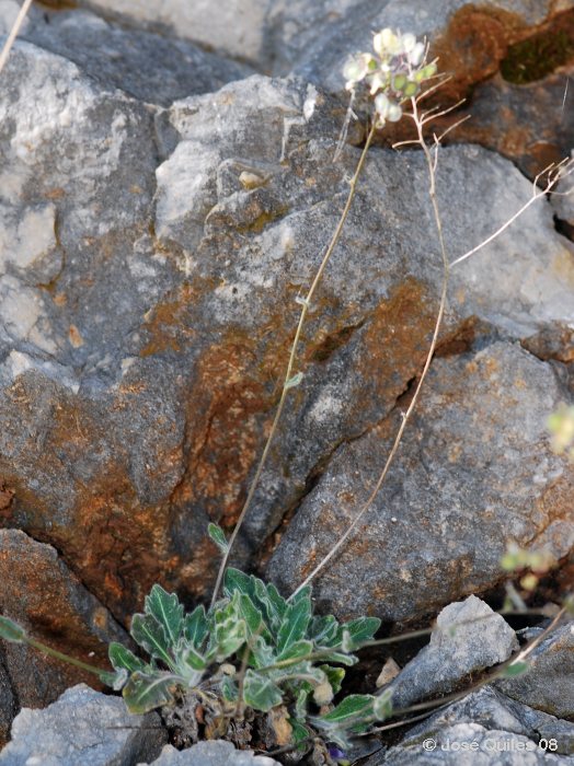 Sierra de Aixort�, A