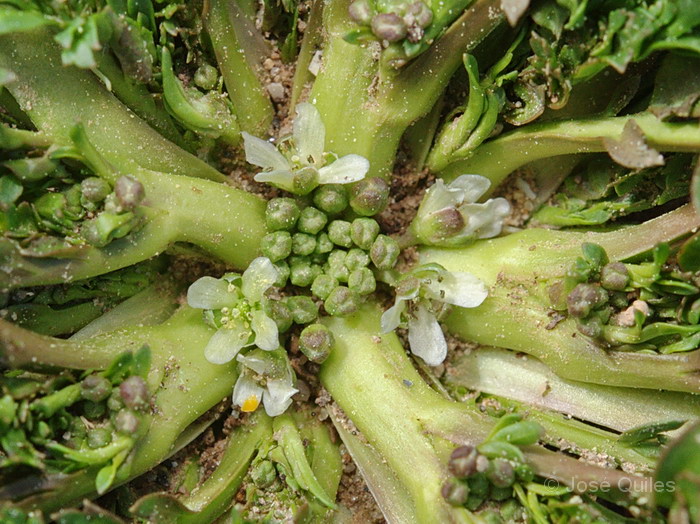 Albufera de Valencia