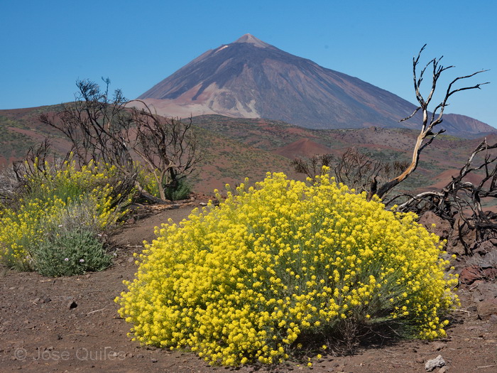 Ca�adas del Teide, Tenerife