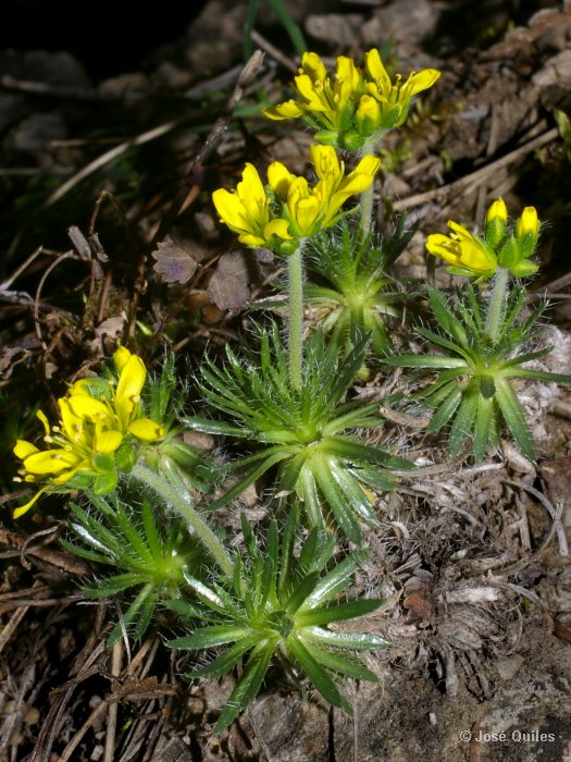 Sierra de Alcaraz, AB