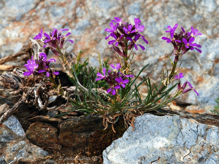 Sierra de los Filabres, AL