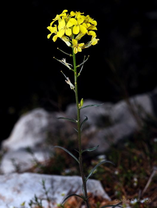 Sierra de Aixortá, A