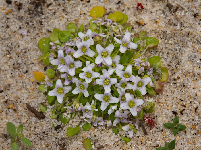 Pen�nsula de Troia, Alentejo Litoral