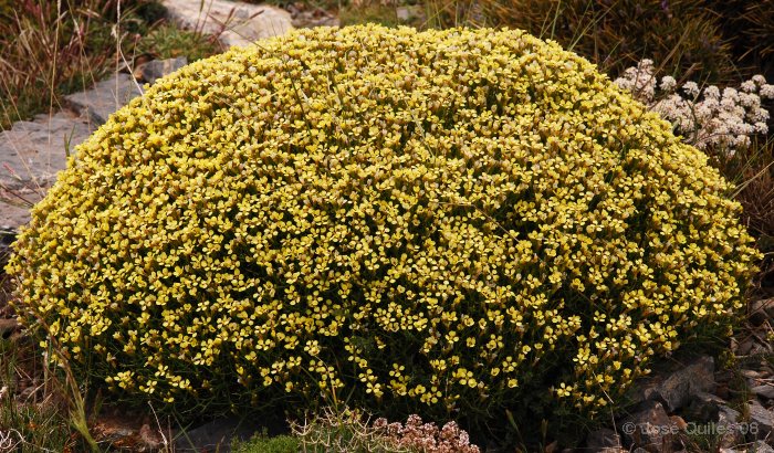 Sierra de G�dor, AL