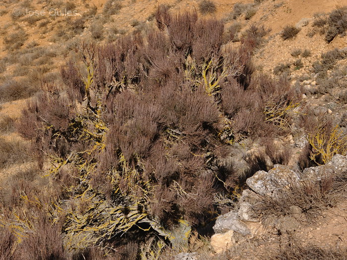 Valle del Turia, TE