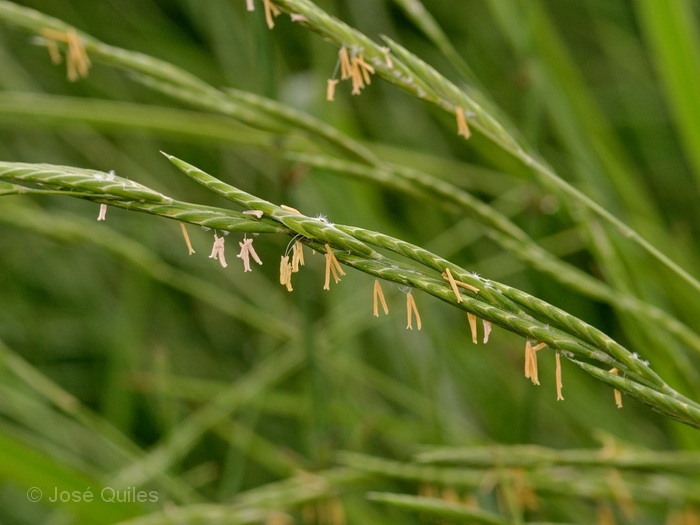Albufera de Valencia