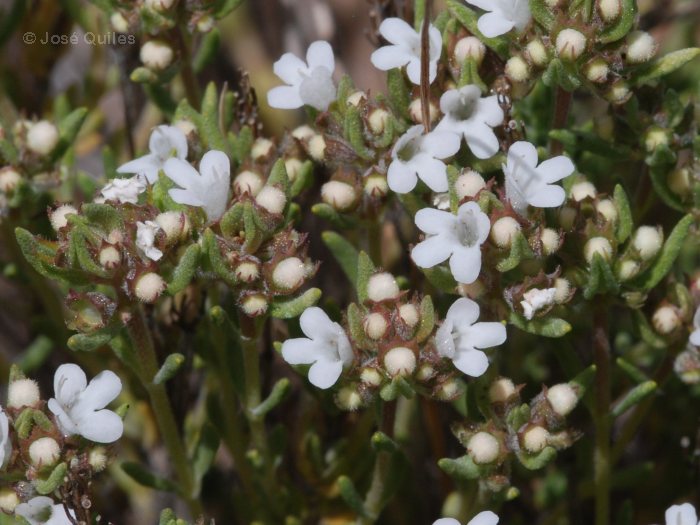 Sierra de G�dor, AL