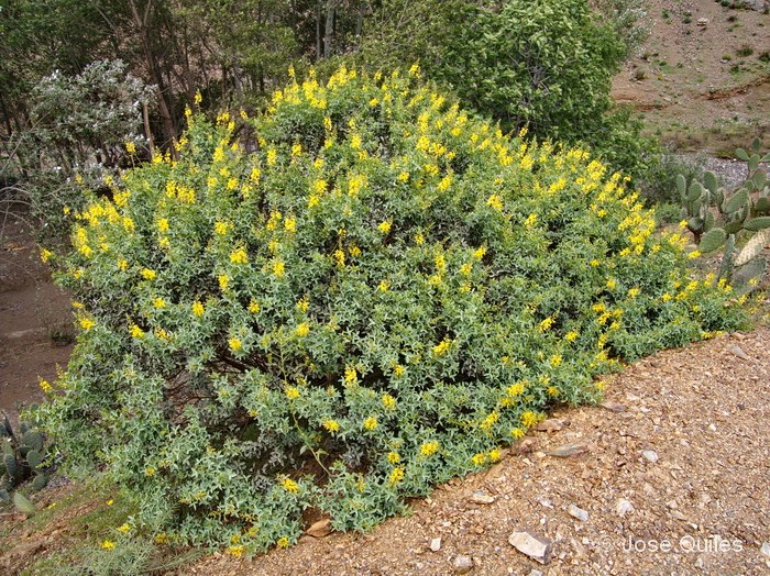 Alto Atlas central, Marruecos