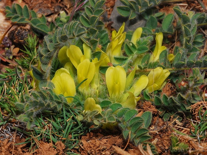 Sierra de G�dor, AL