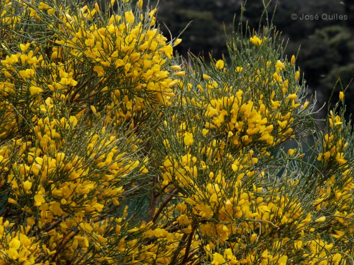 Sierra de Tramuntana, PM
