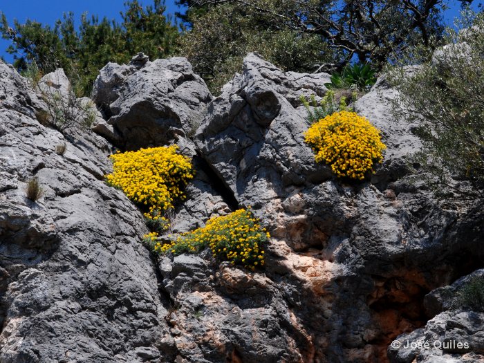 Sierra de Tramuntana, PM