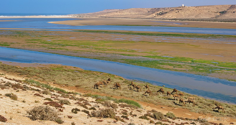 Foum Draa, Marruecos