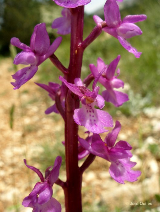 Sierra de Aitana, A