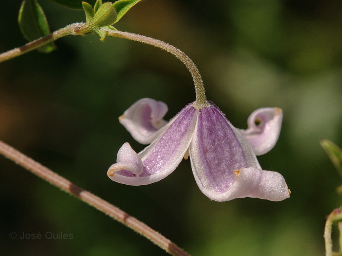 Sierra de B�jar, SA