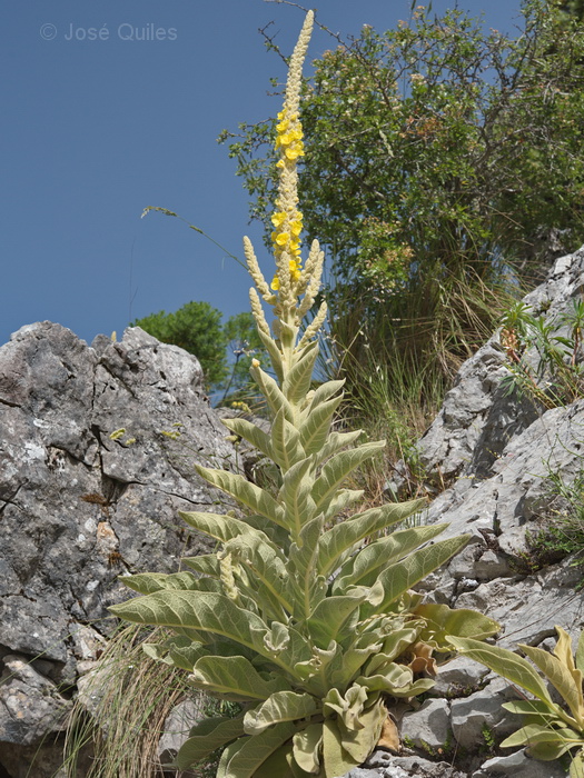 Sierra de Grazalema, CA